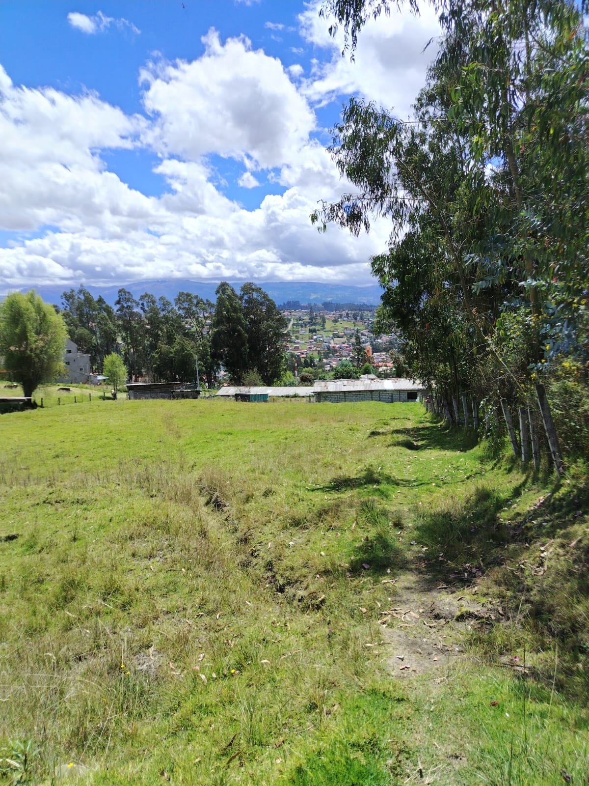 Terreno El Valle — Vista 3