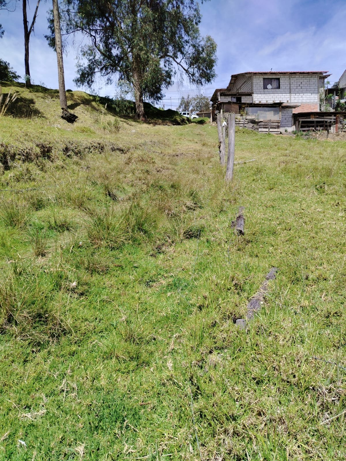 Terreno El Valle — Vista 4