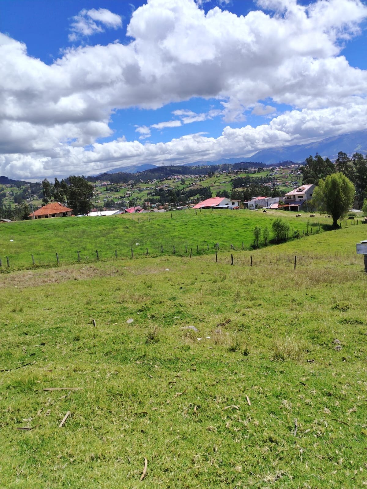 Terreno El Valle — Vista 6
