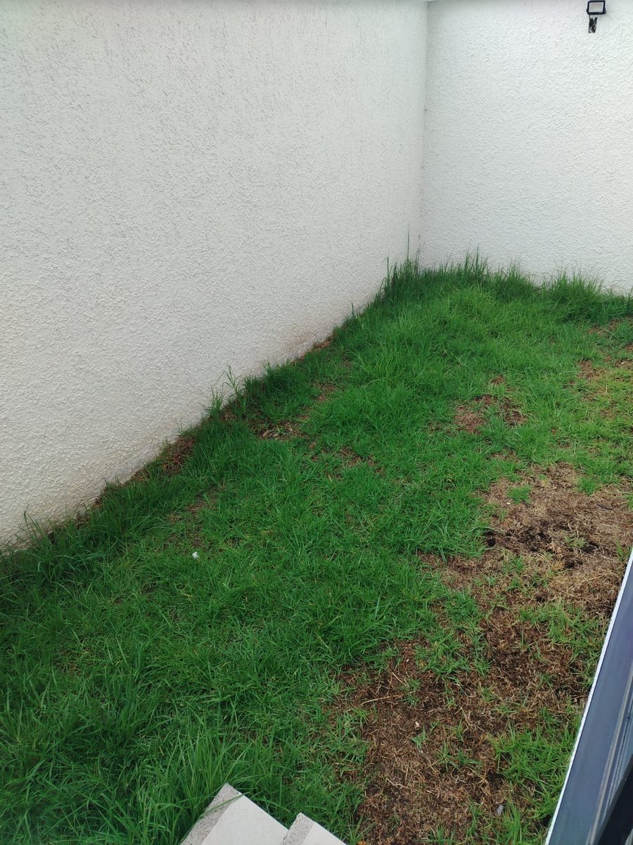 Casa Misicata, Cuenca — Parte trasera y barbacoa