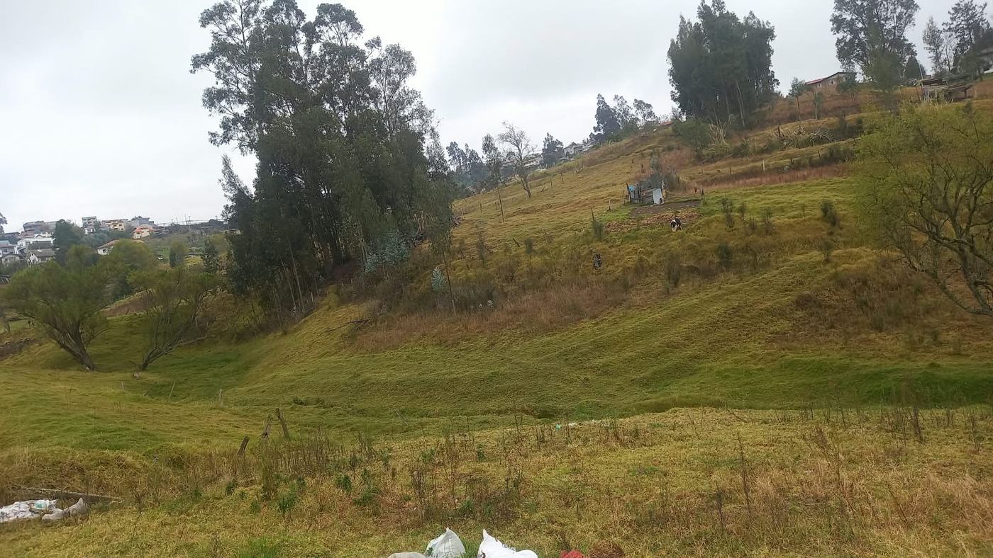Vista del terreno El Despacho, El Valle