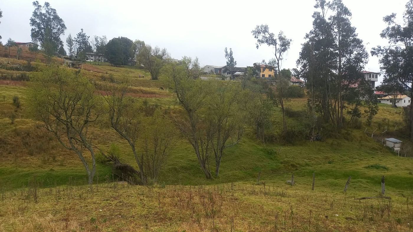 Área verde del predio