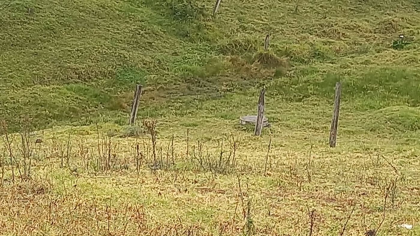 Linderos y entorno del terreno