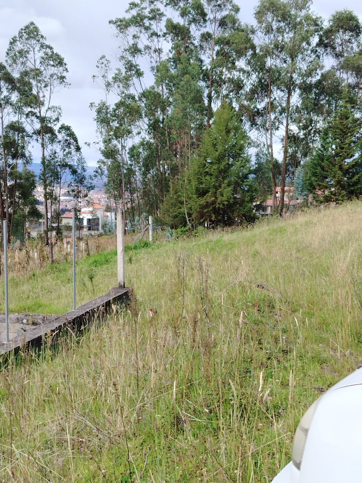 Terreno