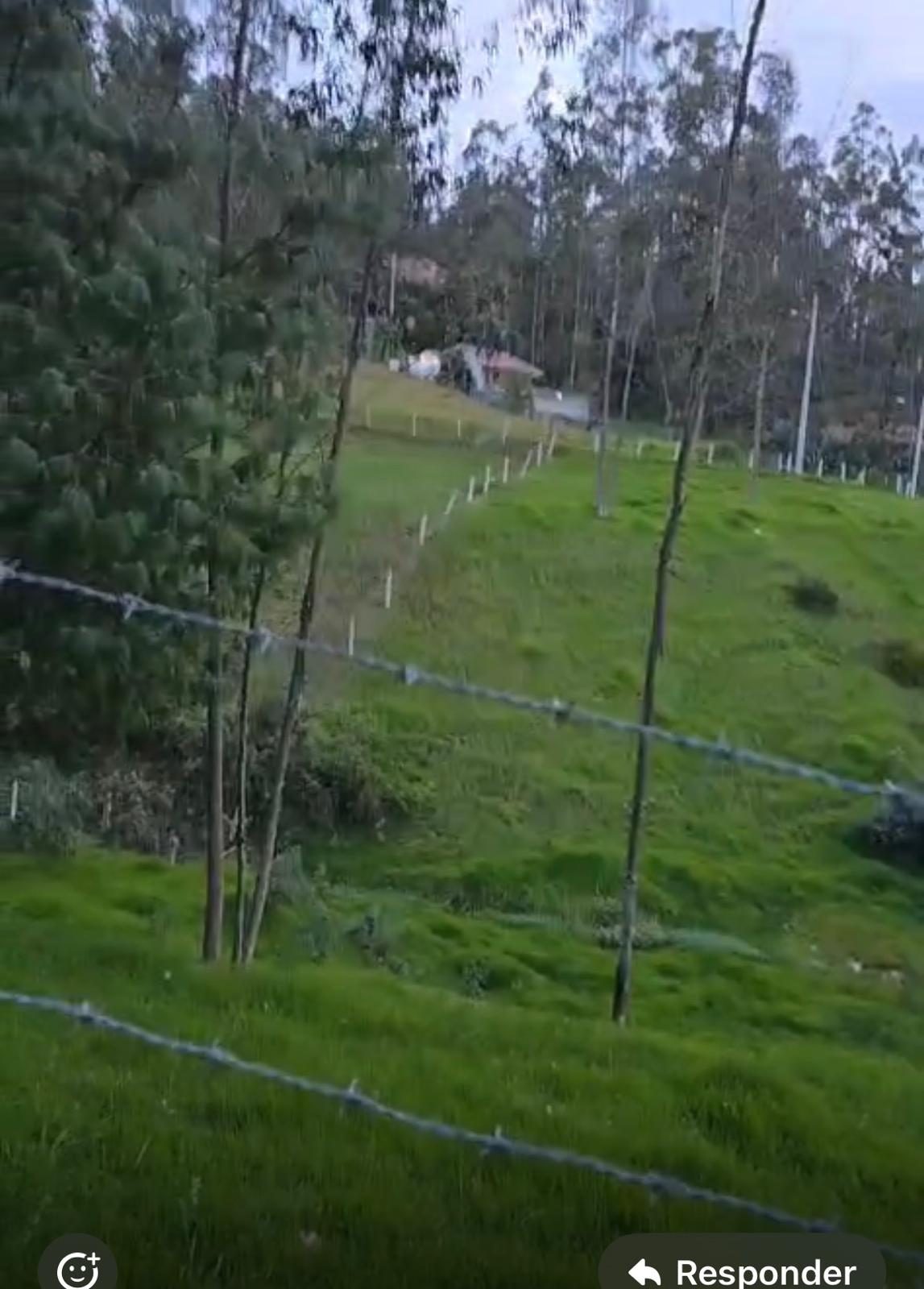 Terreno de 2 hectáreas en venta en la vía a Tarqui, Cuenca