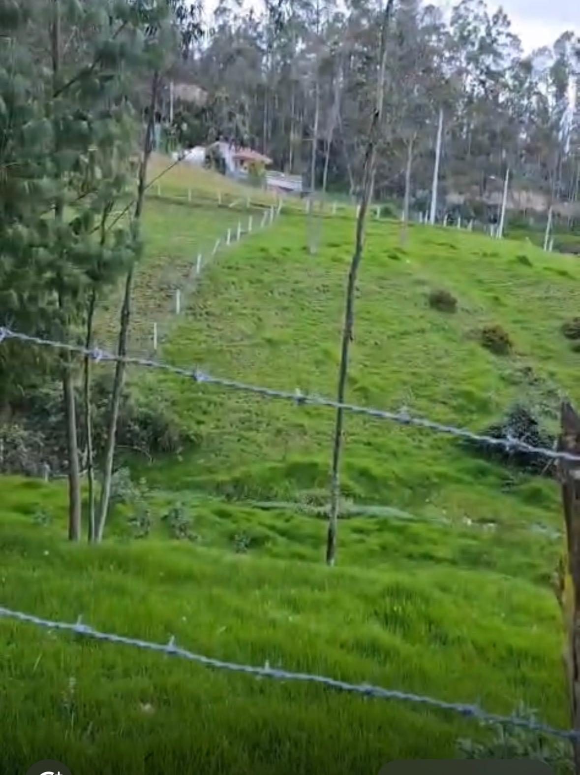 Terreno cercado en el km 4 de la vía a Tarqui