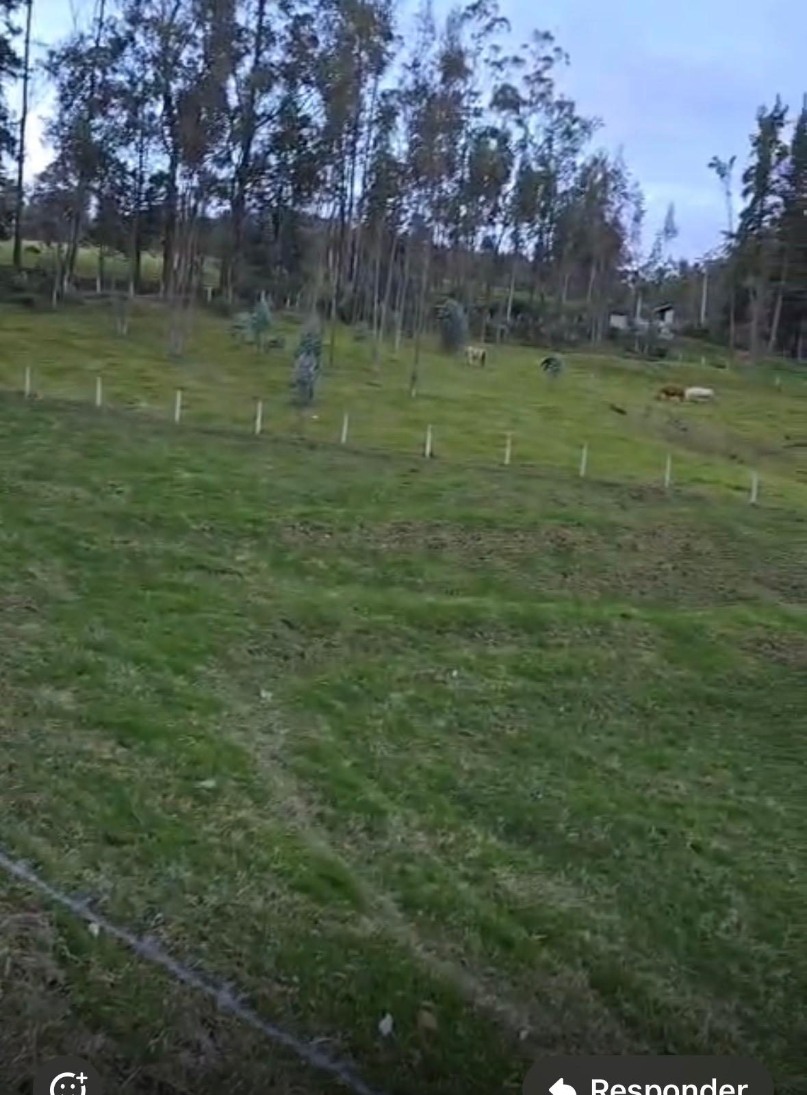 Vista del terreno junto a la urbanización