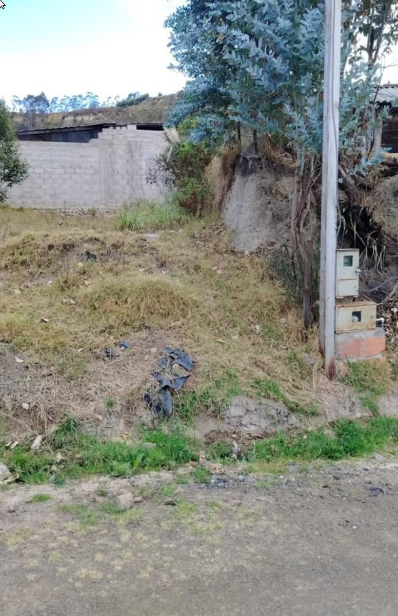Vista del terreno en Isla de Eucalipto