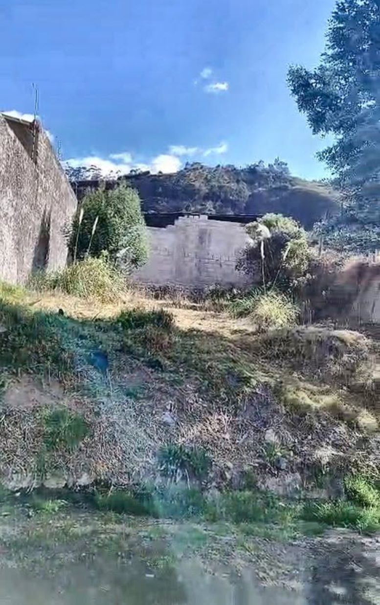 Detalle del terreno en Isla de Eucalipto, Turi