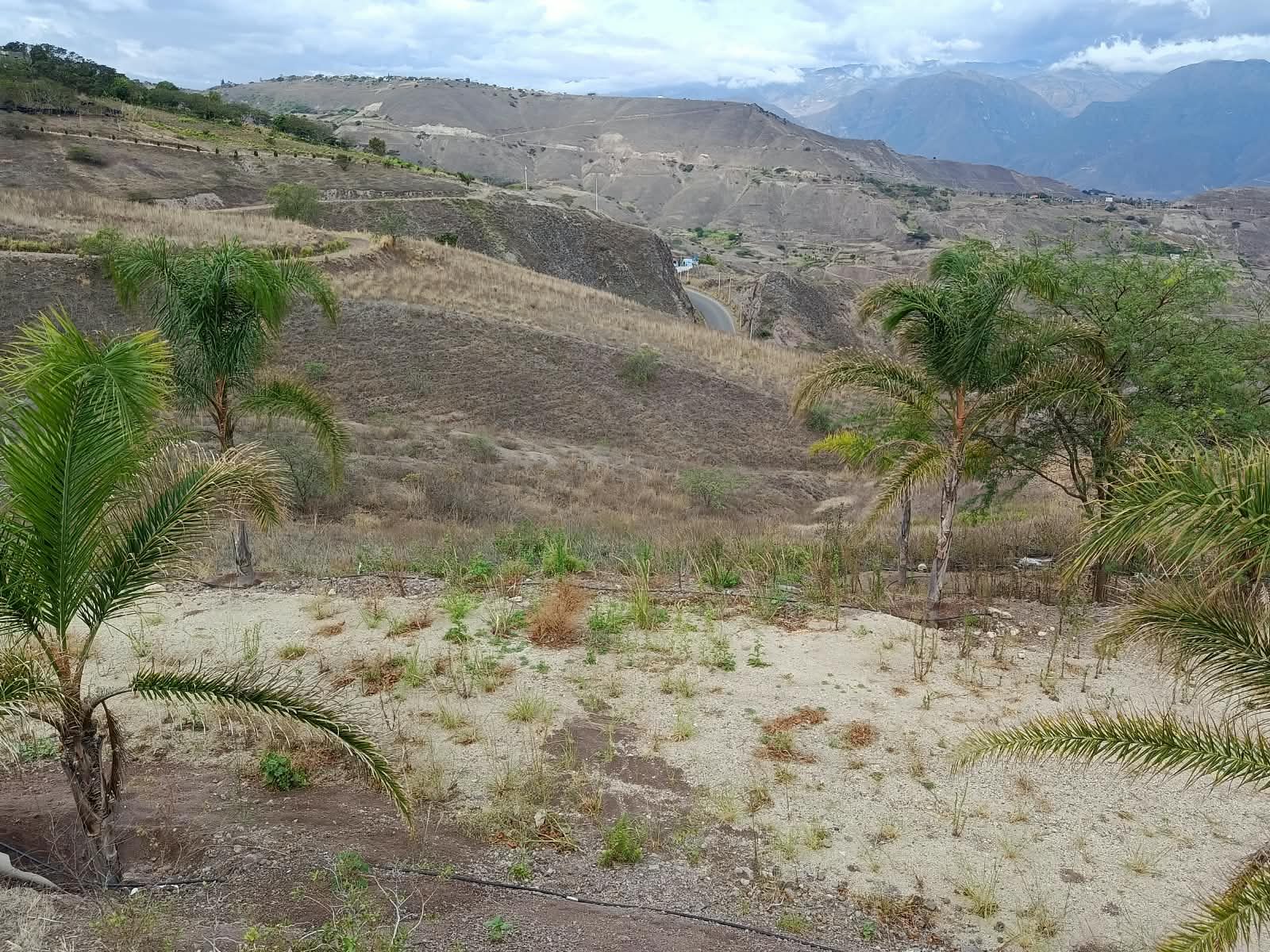 Terreno de 2 hectáreas en Santa Isabel, Azuay — foto 7