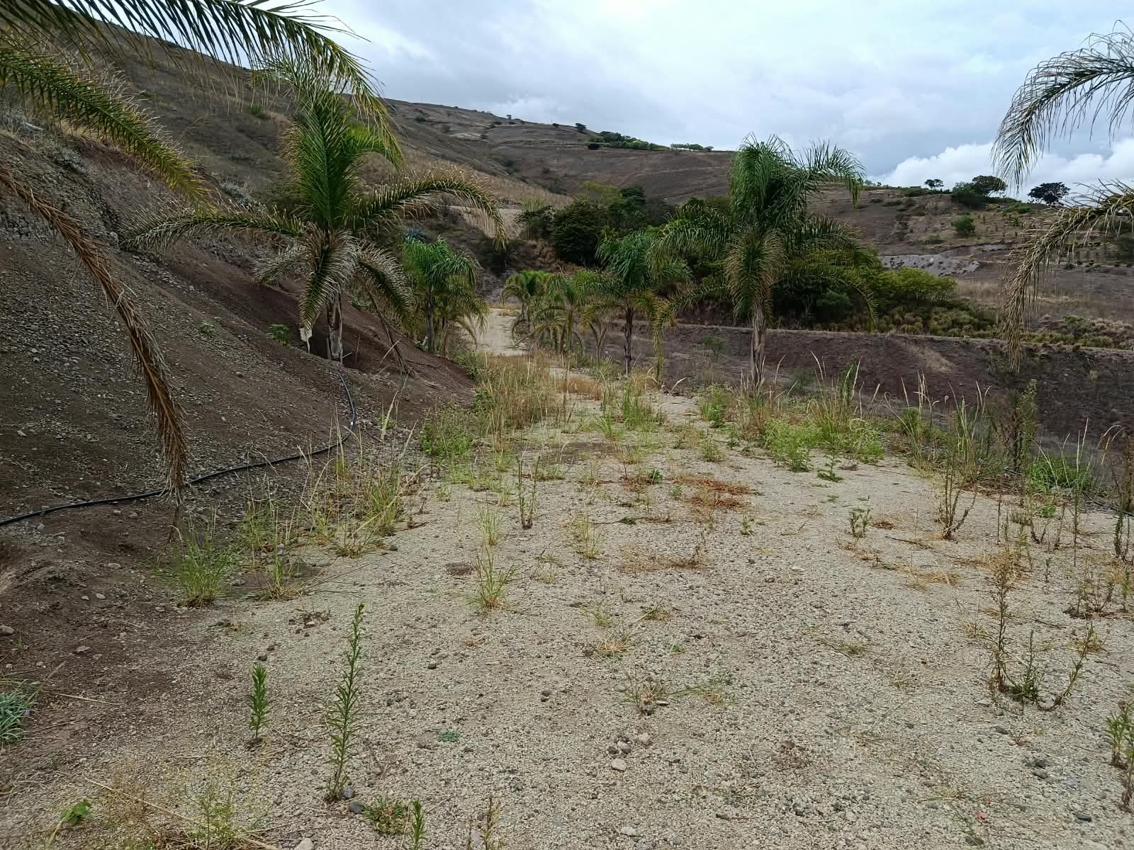 Terreno de 2 hectáreas en Santa Isabel, Azuay — foto 9