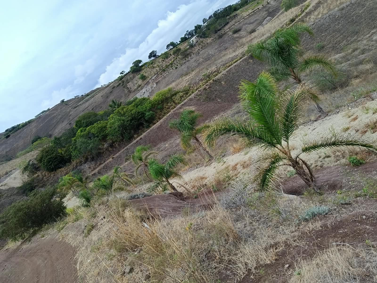 Terreno de 2 hectáreas en Santa Isabel, Azuay — foto 11