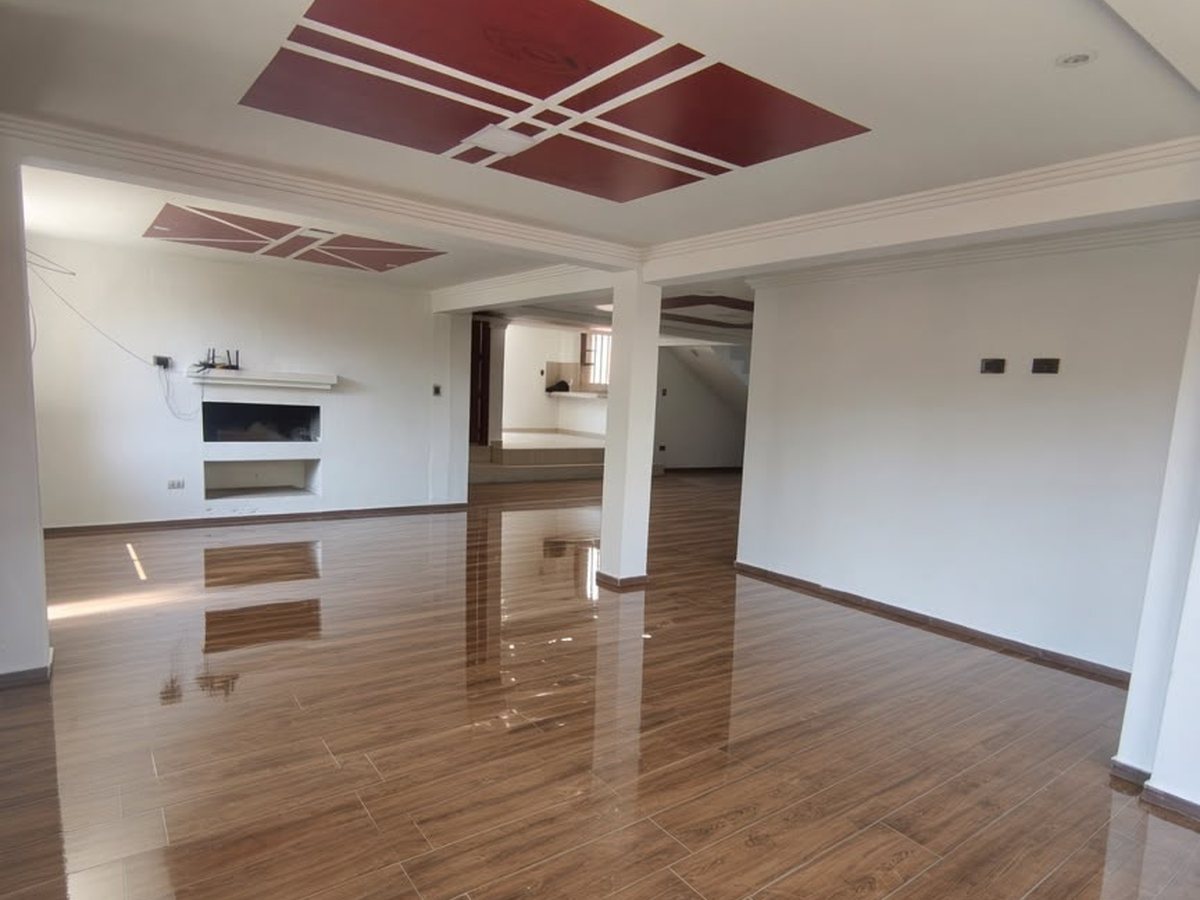 Villa Misicata, Cuenca — Sala con chimenea